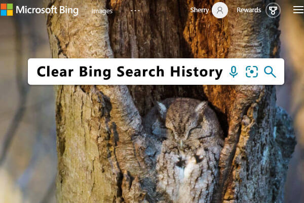 Historial de búsqueda de Bing