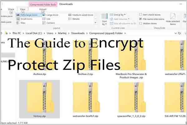 contraseña proteger miniatura de archivo zip