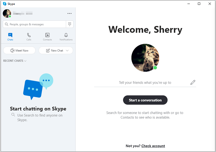 Interfaz principal de Skype