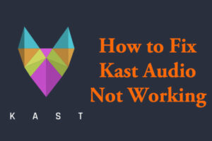 Lee más sobre el artículo Cómo arreglar el audio de Kast que no funciona – 4 métodos