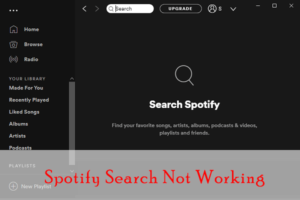 Lee más sobre el artículo Cómo arreglar la búsqueda de Spotify que no funciona en Windows