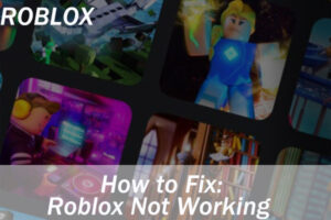 Lee más sobre el artículo ¿Cómo arreglar que Roblox no funcione?  Aquí hay 5 métodos