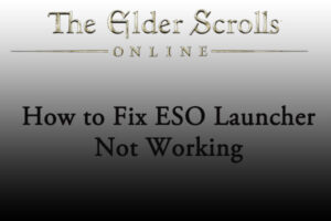 Lee más sobre el artículo Cómo reparar el lanzador de ESO que no funciona: 5 soluciones