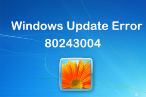 Lee más sobre el artículo Cómo resolver el error de actualización de Windows 80243004 [2021 Tips]