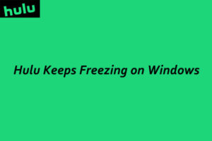Lee más sobre el artículo Hulu sigue congelado en Windows [5 Methods]