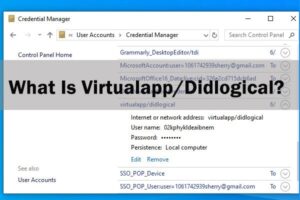 Lee más sobre el artículo ¿Qué es Virtualapp / Didlogical?  ¿Puedes quitarlo? [2021 Update]
