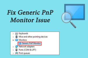 Lee más sobre el artículo Solucionar el problema genérico del monitor PnP en Windows 10 [Easy Guide]