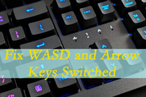 Lee más sobre el artículo WASD y teclas de flecha conmutadas en Windows 10