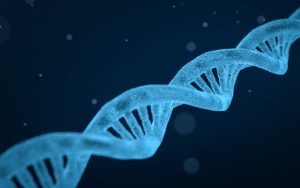 Lee más sobre el artículo ¿Qué es el ADN y cómo se puede alterar?