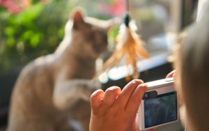 Lee más sobre el artículo Fotografía vs imágenes digitales: ¿Arte real o creación artificial?